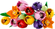Конструктор LEGO Botanicals Букет тюльпанов (11501) 11501 фото 2